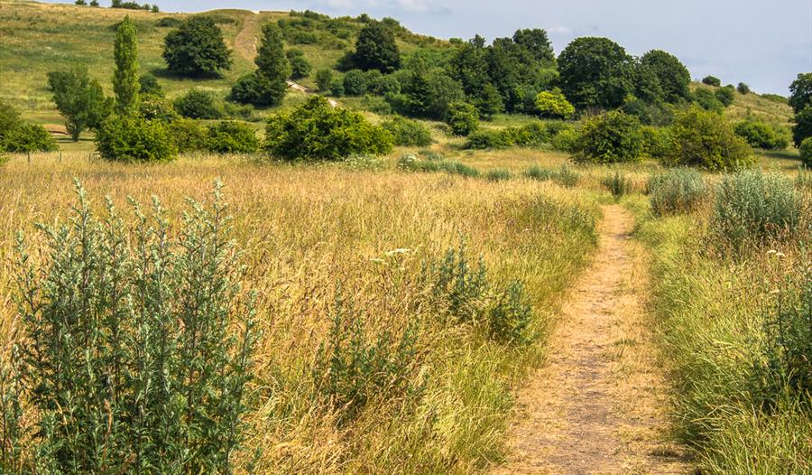 Walk Luton's scenic uplands