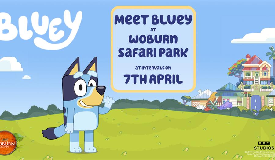 Meet Bluey at Woburn Safari Park this Easter!