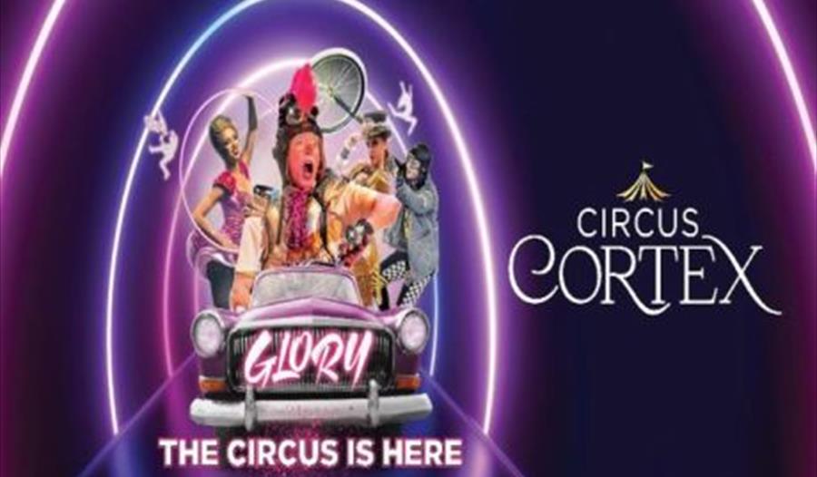 circus cortex