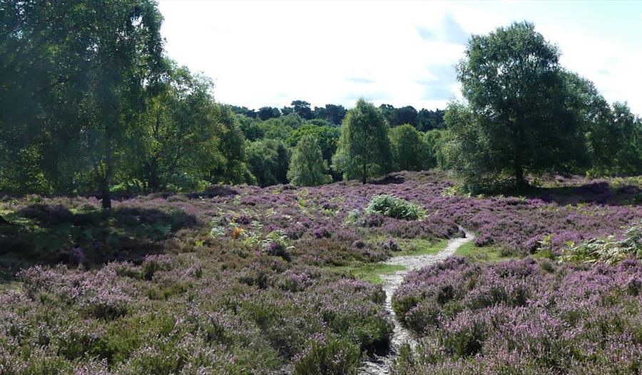 Greensand Country