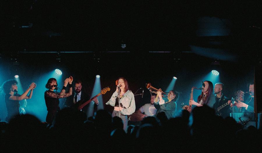 The Belgrave House Band: Back to Black