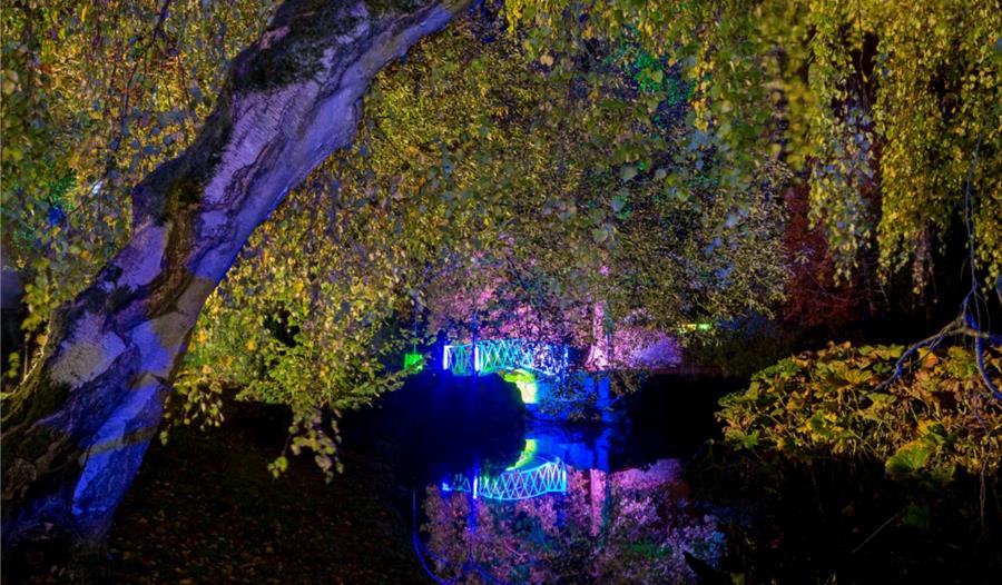 The Swiss Garden at Night