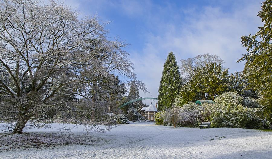 Winter Walk & Lunch with the Head Gardener