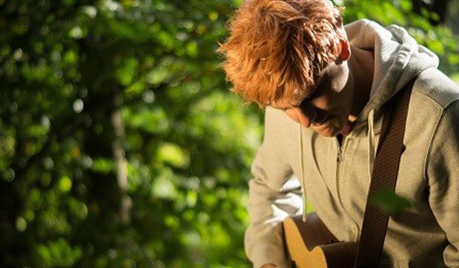 Ed Sheeran Tribute