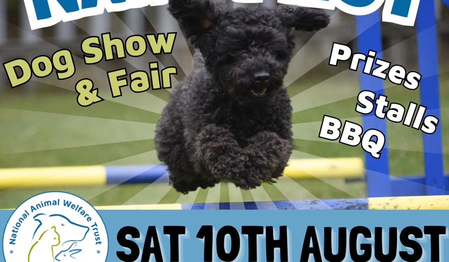 NAWT Fest - Dog Show and Fete