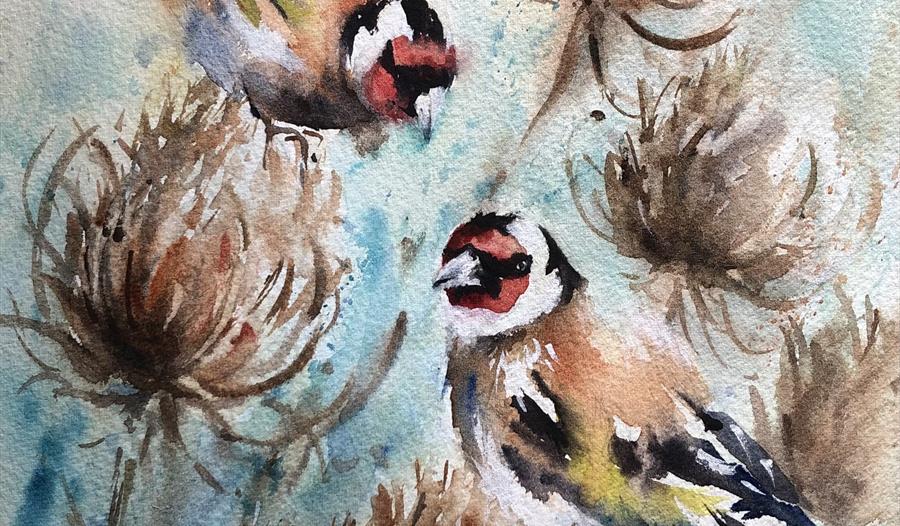 Watercolour Painting - 1 Day Workshop - Goldfinch & Teasels with Nicky Hunter
