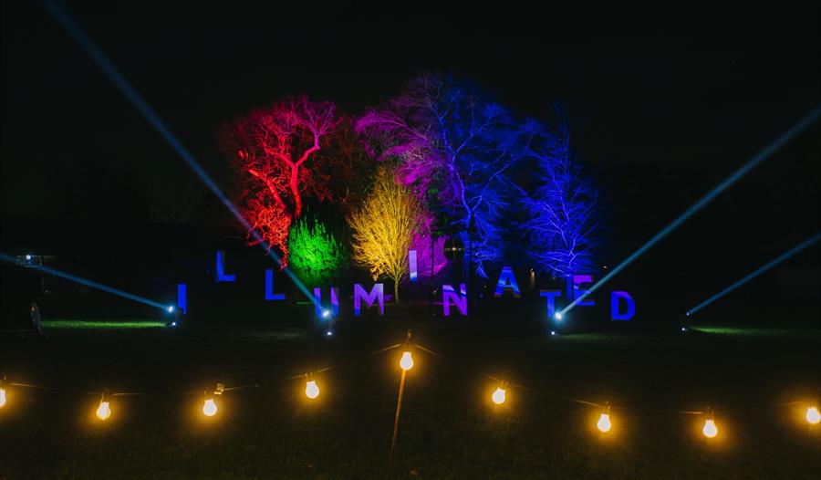 Stockwood Illuminated