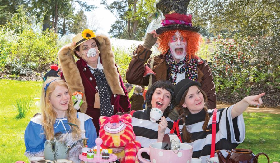 Mad Hatter's Tea Party