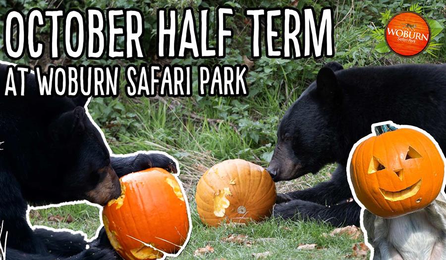 October Half Term at Woburn Safari Park