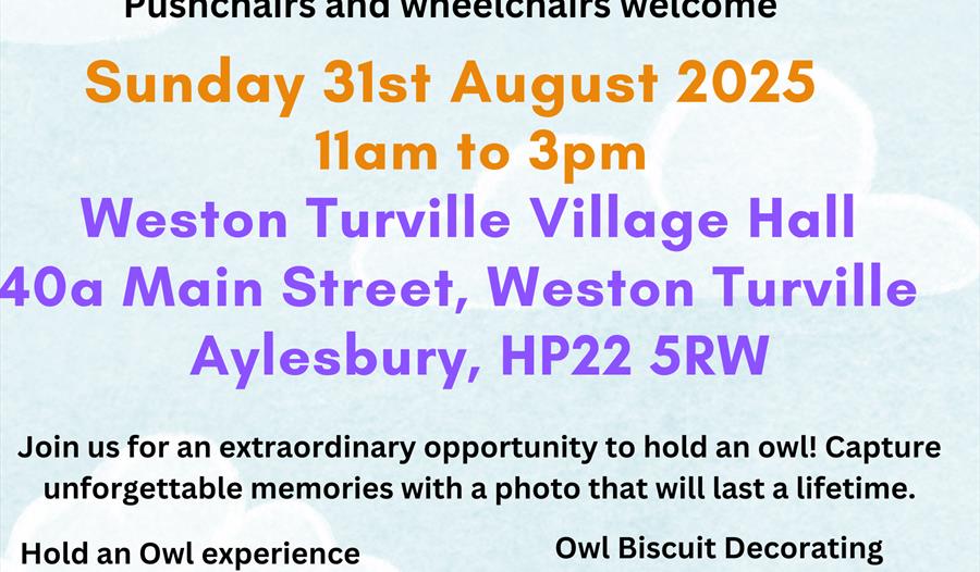 Owl Craft Spectacular Family Fun Day