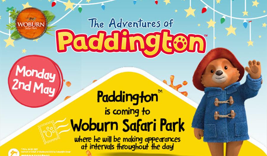 Come and meet Paddington!