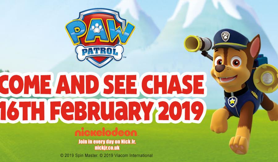 Meet Chase from Paw Patrol at Woburn Safari Park