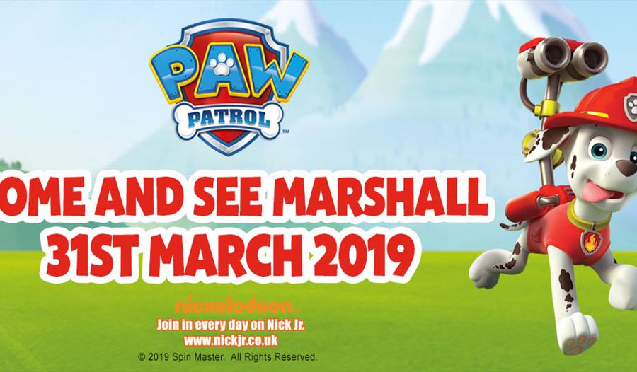 Meet Marshall from PAW Patrol