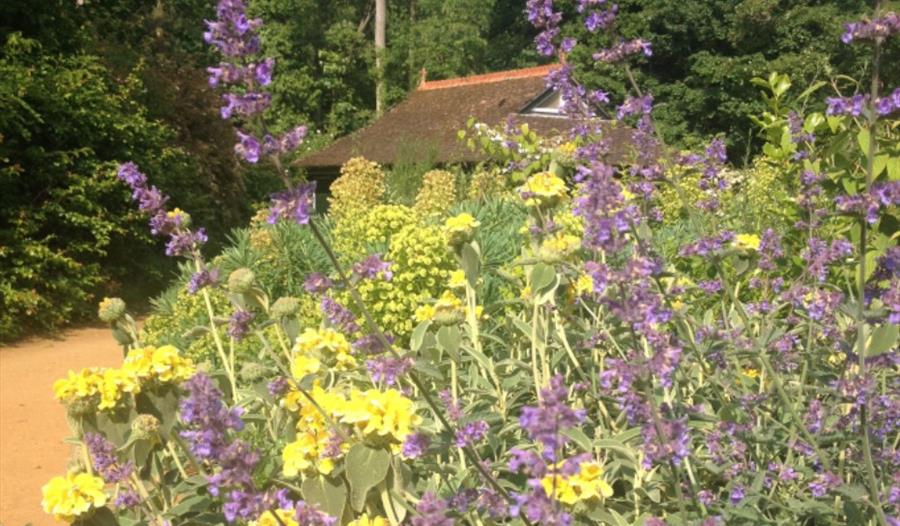 Workshop: Autumn Propagation