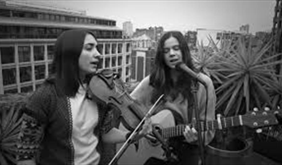 Roswell + Velvet Engine Line at Forest Folk and Roots