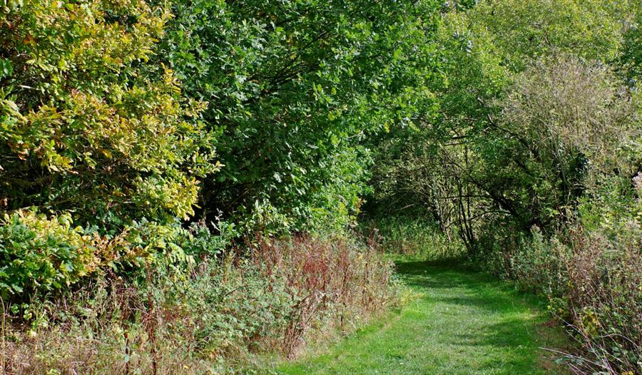 Rectory Ramble Guided Walk