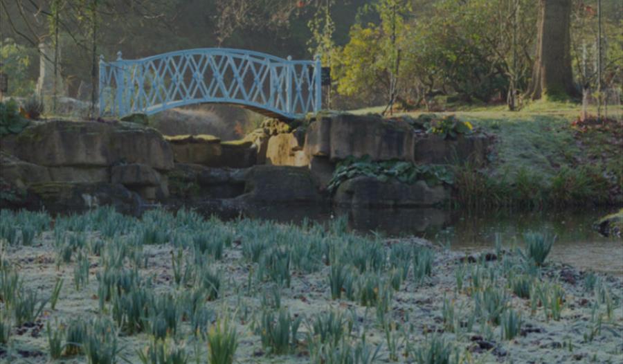 Winter Walk and Lunch with Head Gardener
