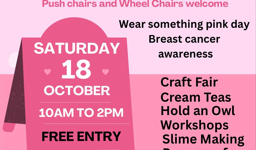 Splash of Pink Craft Fair Fun Day