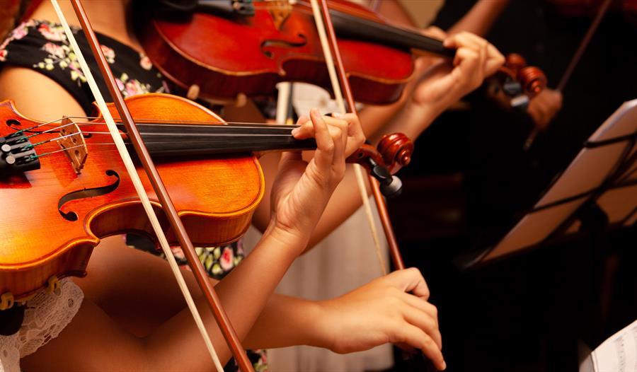 String Quarter: Spring Sessions