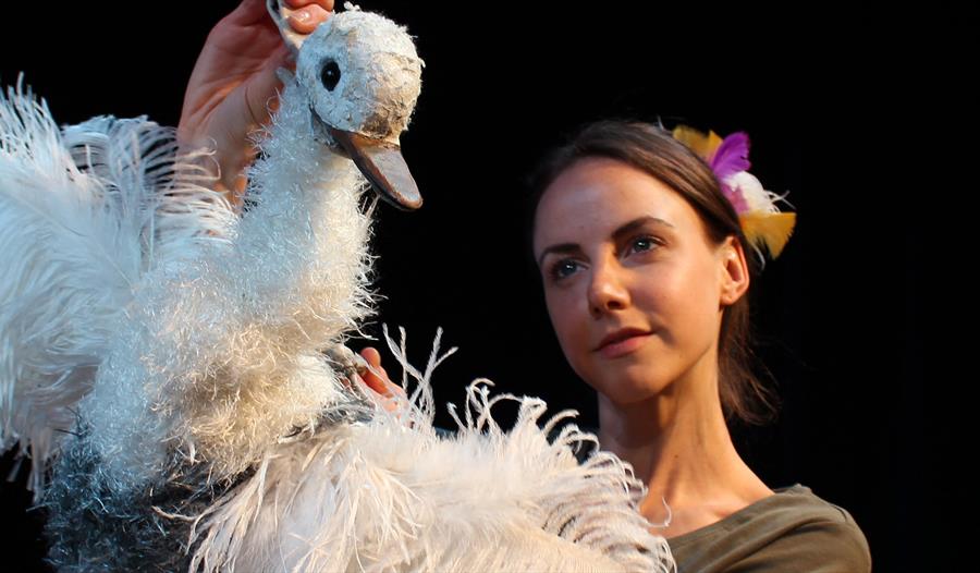 The Goose who Flew