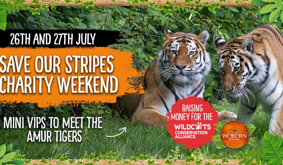 Save Our Stripes Charity Weekend