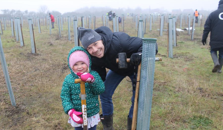 Public Tree Planting