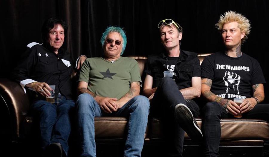 Vinyl Revelations: UK SUBS