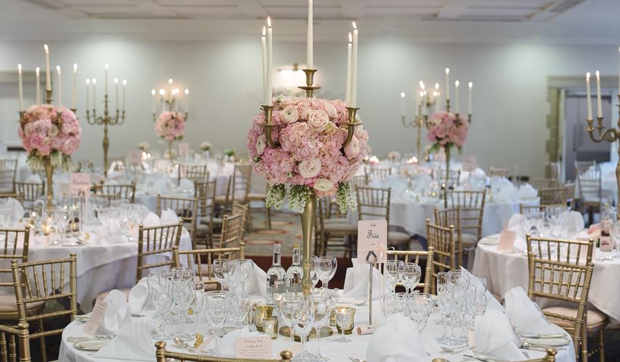 Wedding Showcase
