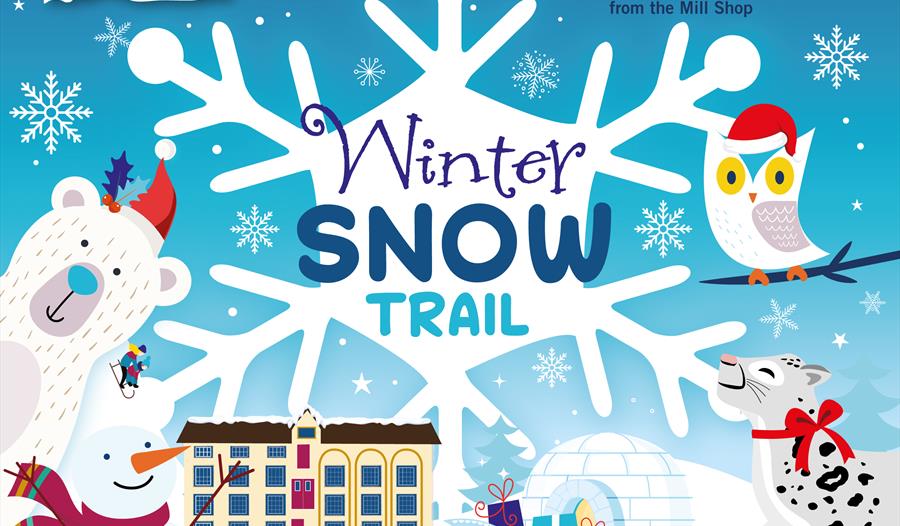 Winter Snow Trail