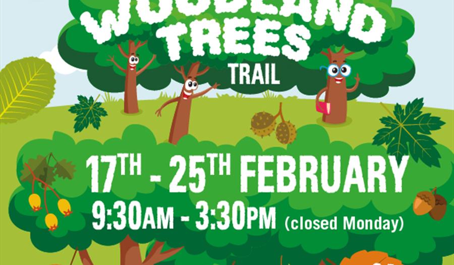 Jordans Mill - Woodland Trees Activity Trail