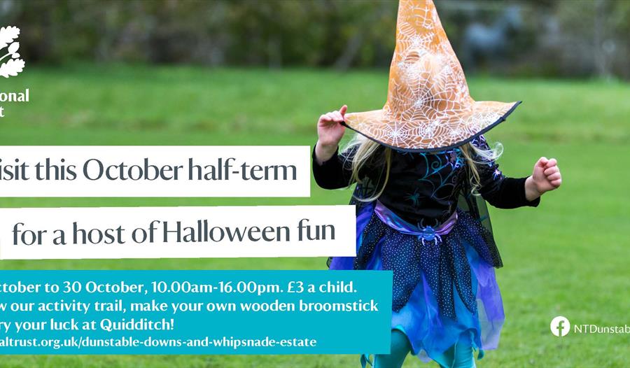 October half-term Halloween trail 'A Cat's Tail'.