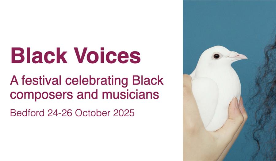Black Voices