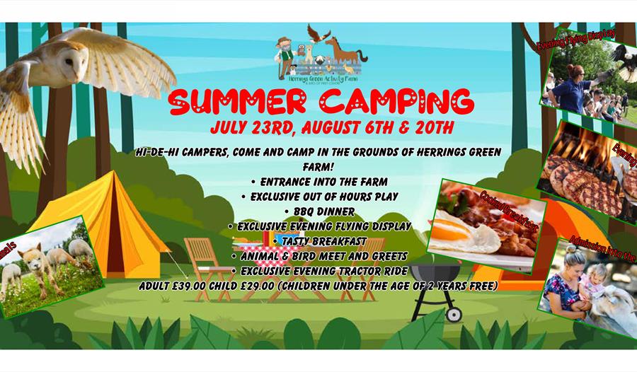 Summer Camping at Herrings Green Farm