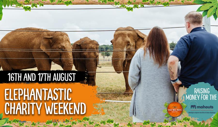 Elephant Charity Weekend  16th & 17th August