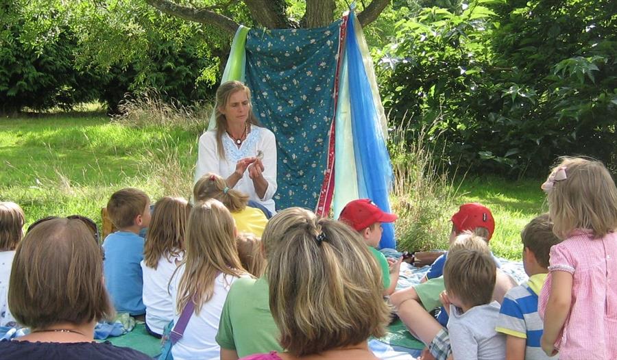 Woodland Walk Full of Stories
