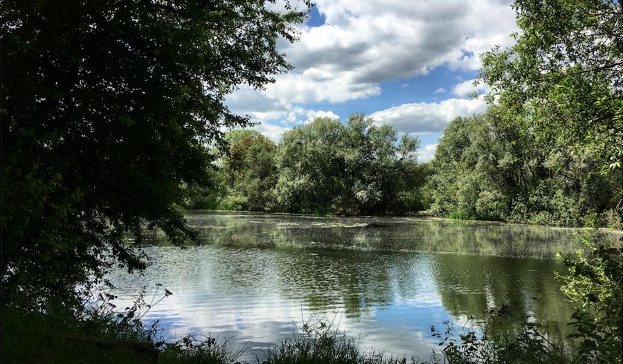 Priory Country Park