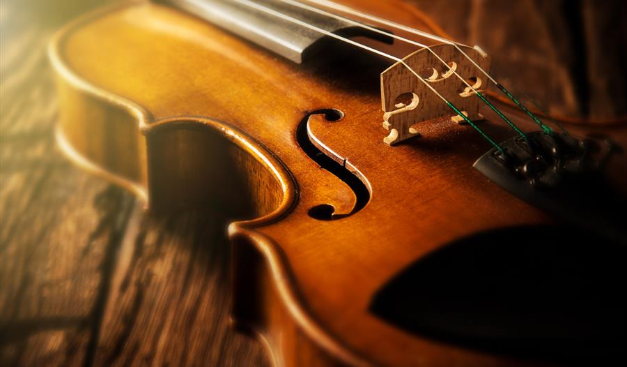 Music in the Museum: Accordion and Violin!