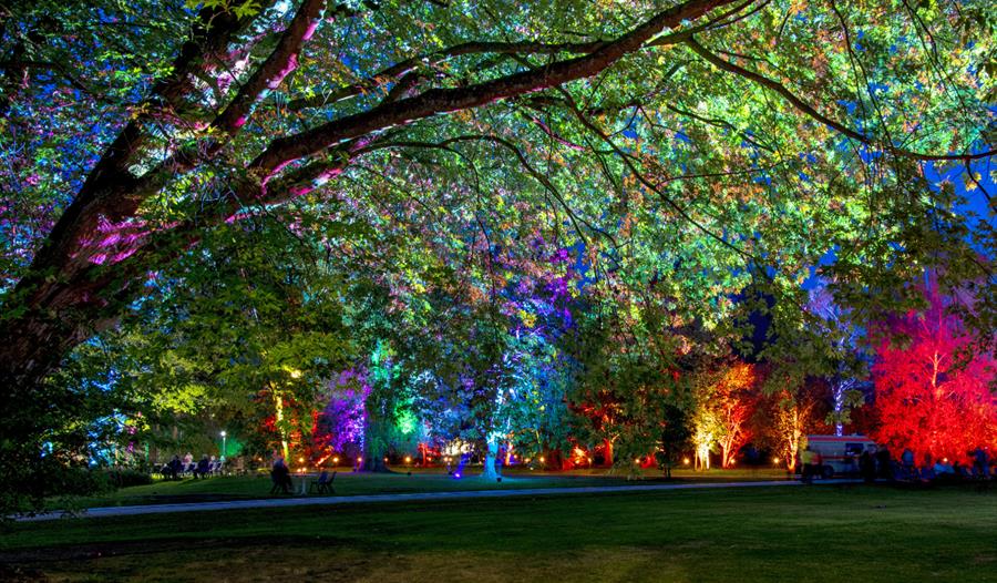 Winter Lights Festival