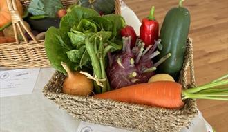 Autumn Flower and Vegetable Show