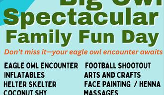 Big Owl Spectacular Family Fun Day Walgrave Northamptonshire