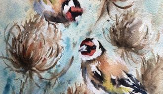 Watercolour Painting - 1 Day Workshop - Goldfinch & Teasels with Nicky Hunter