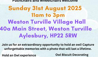 Owl Craft Spectacular Family Fun Day