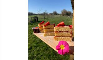 cake in the sunshine