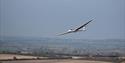 glider above bedfordshire