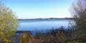 marston vale