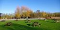 marston vale picnic tables