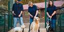 Dogs with handlers