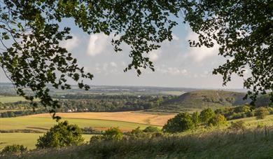 Dunstable Downs and Whipsnade Estate