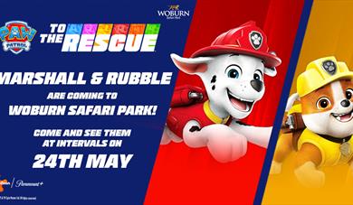See Marshall and Rubble on 24th May 2025