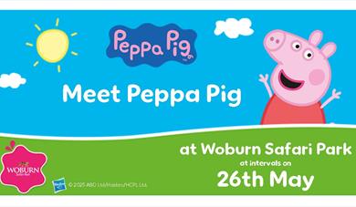 Come and meet Peppa Pig at Woburn Safari Park